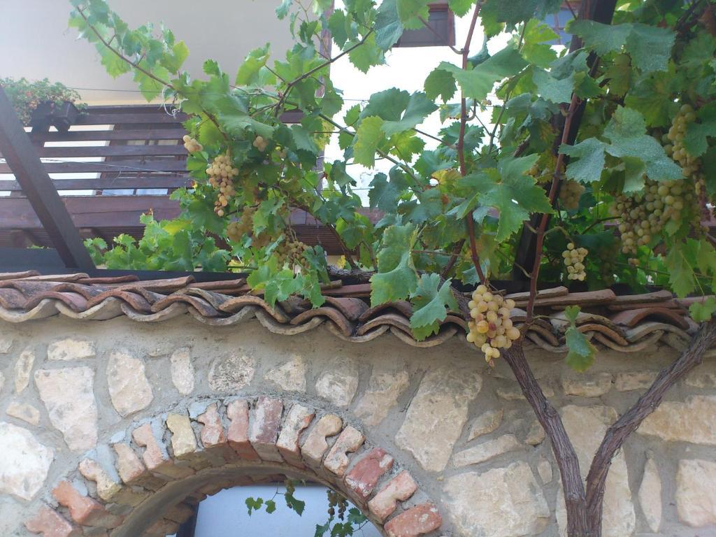 Villa Nasco ゴールデンサンド エクステリア 写真